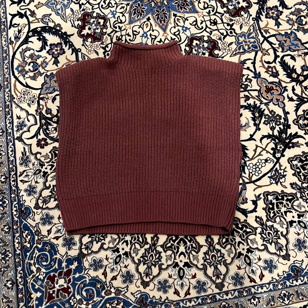 Zara Turtleneck Top